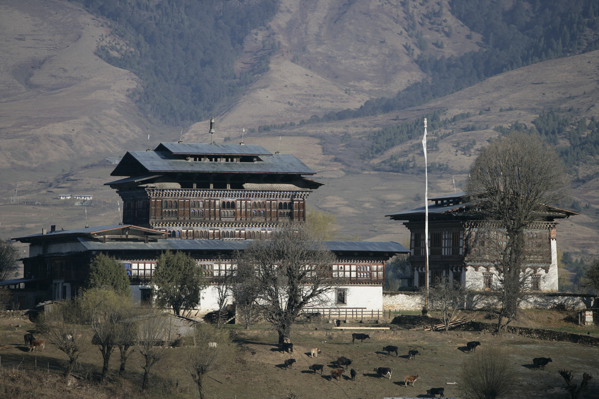 Voyage Culturel — 7 Jours