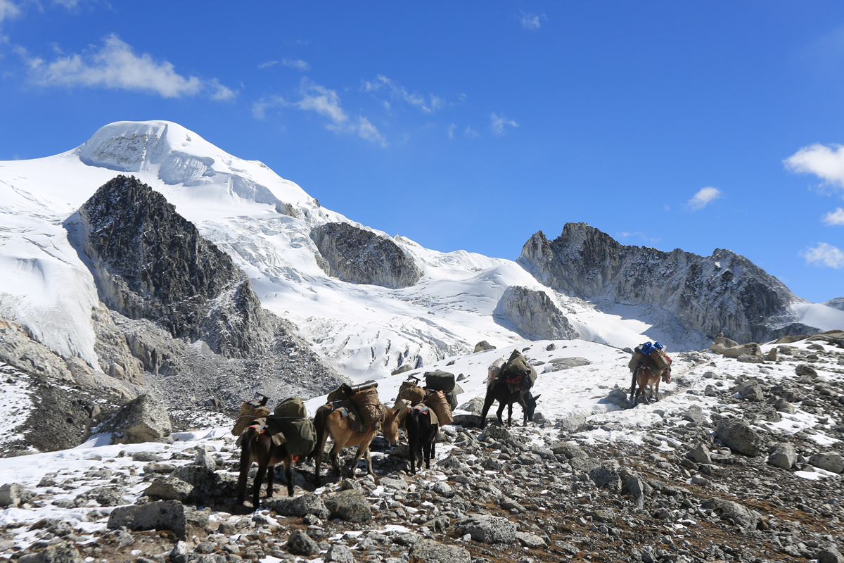 Trekker on a mountain trail in Bhutan